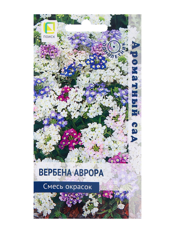 Семена цветов Вербена