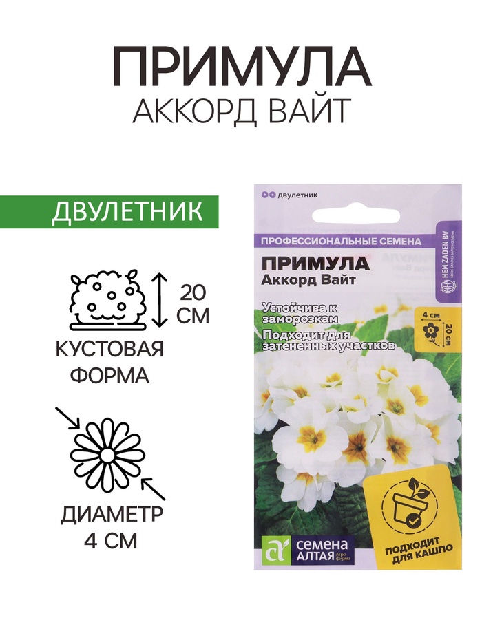 Семена Примула