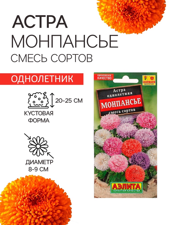 Семена Астра Монпансье, смесь окрасок , 0,2г