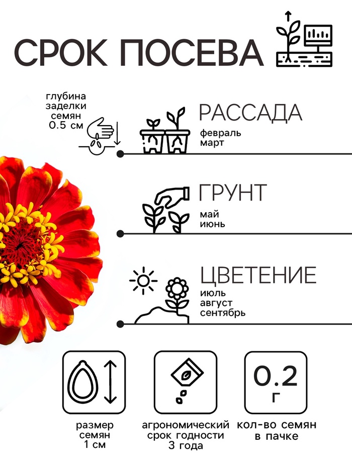 Семена цветов Цинния