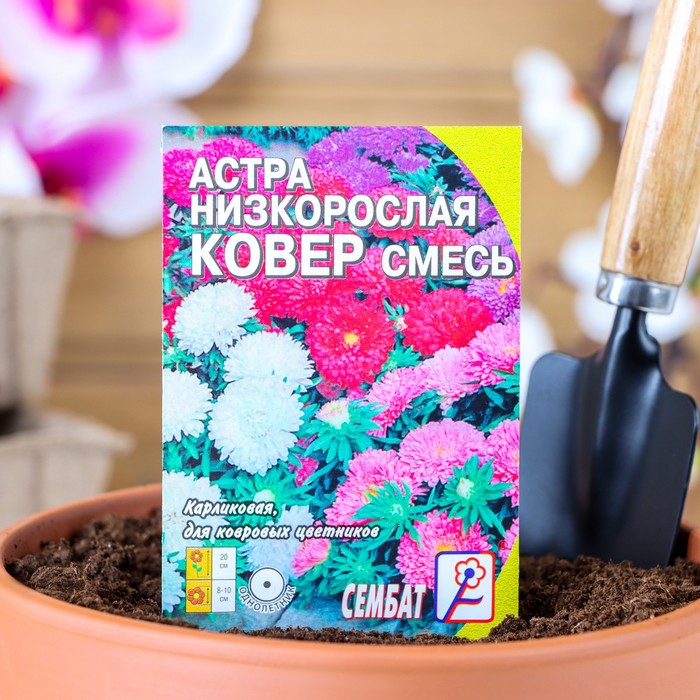 Семена цветов Астра