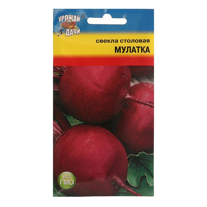 Семена Свекла