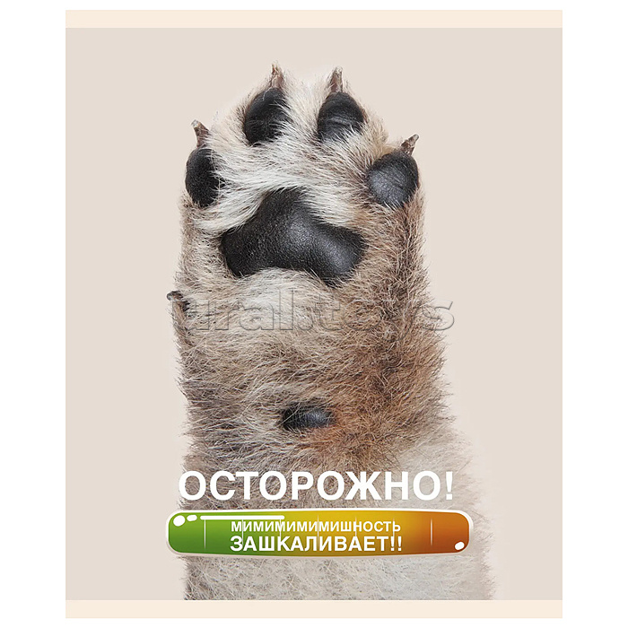 Тетрадь 48л.