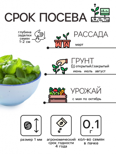 Семена Базилик 