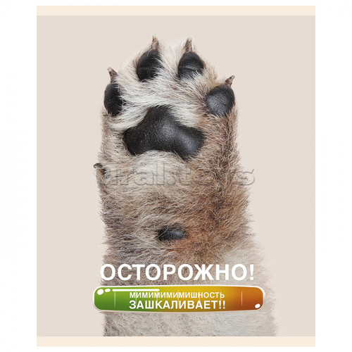Тетрадь 48л. 