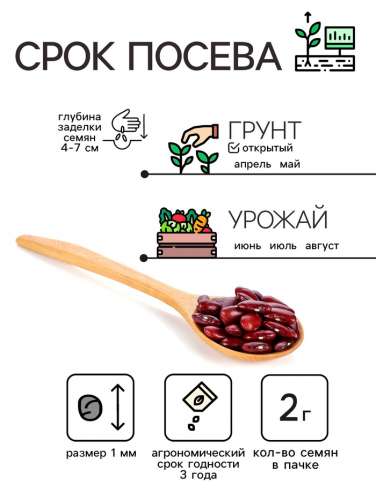 Семена Бобы 