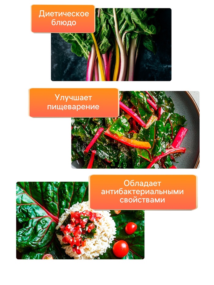 Семена Мангольд