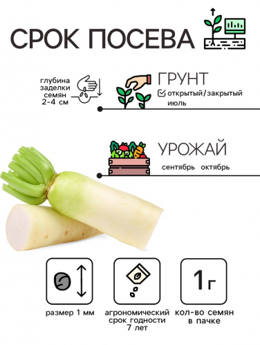 Семена Дайкон 
