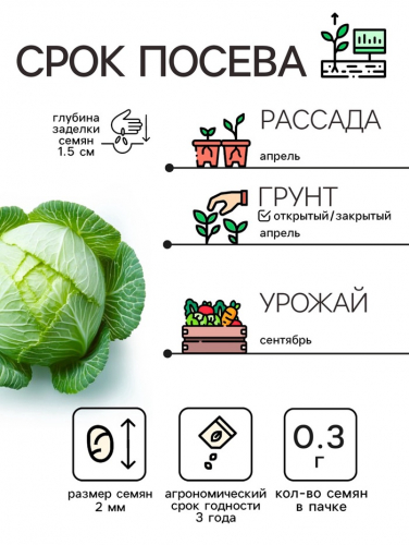 Семена Капуста белокочанная 