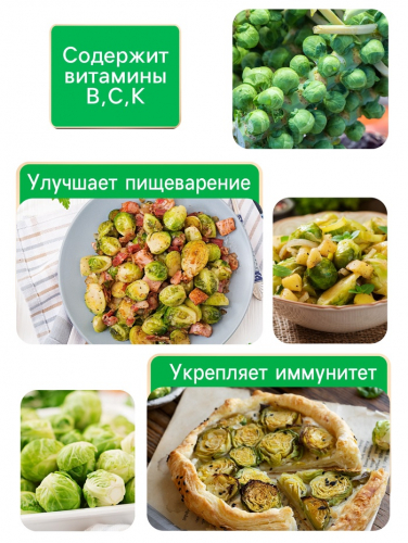 Семена Капуста брюссельская 