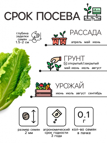 Семена Капуста пекинская 