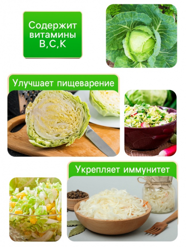 Семена Капуста белокочанная 