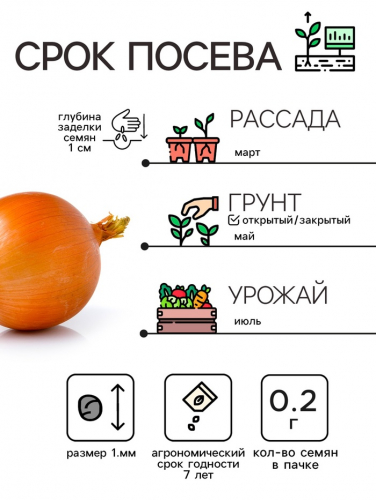 Семена Лук репчатый 