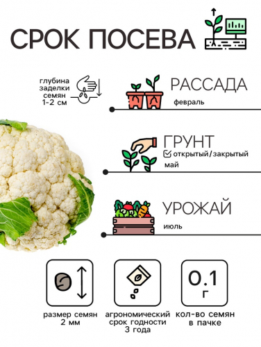 Семена Капуста цветная 