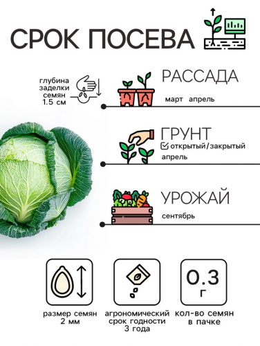 Семена Капуста белокочанной 