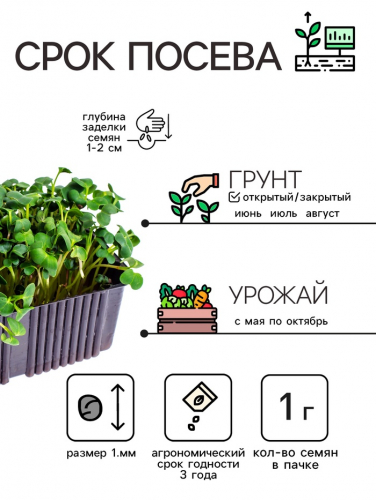 Семена Кресс-салат 
