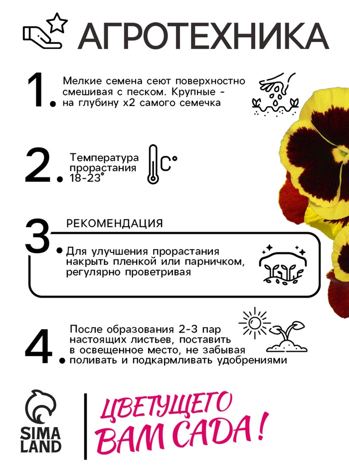 Семена Виола