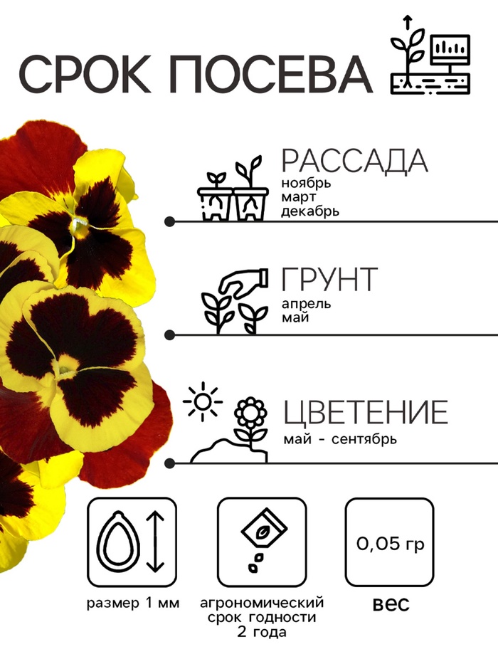 Семена Виола