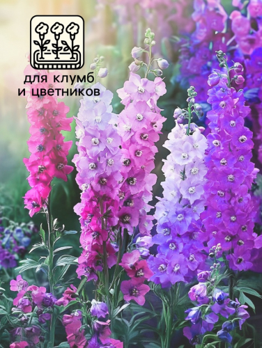 Семена цветов Дельфиниум  