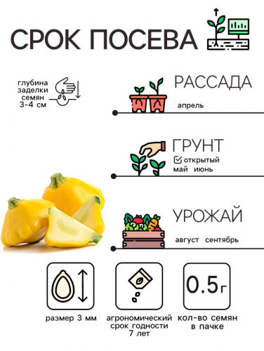 Семена Патиссон 