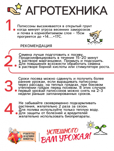 Семена Патиссон 