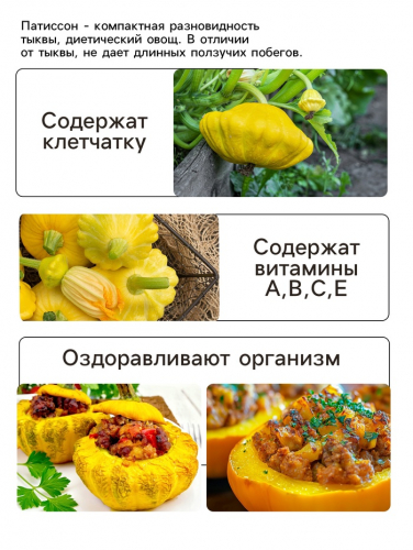 Семена Патиссон 