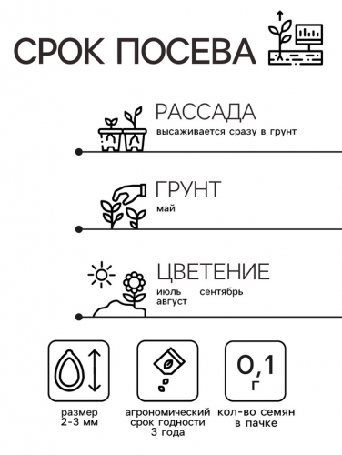 Семена Мальва 