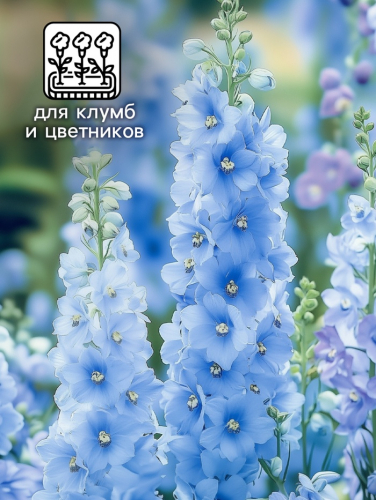 Семена цветов Дельфиниум 