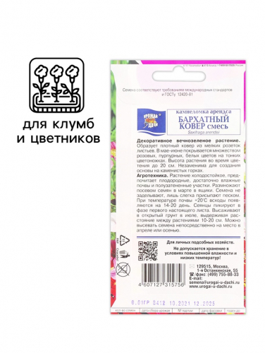 Семена цветов Камнеломка 