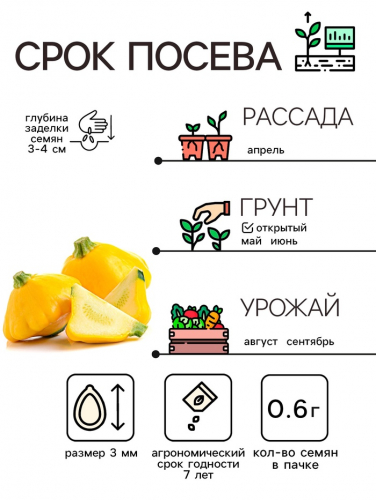 Семена Патиссон 