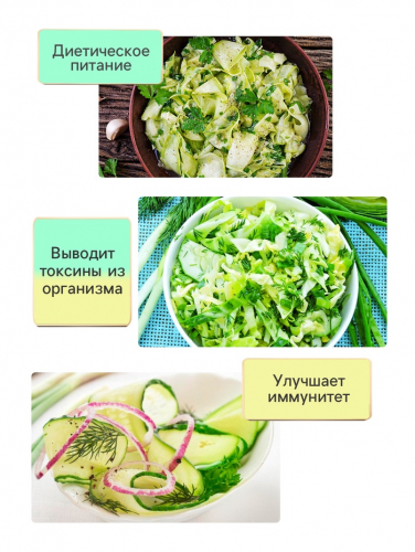 Семена Редька 