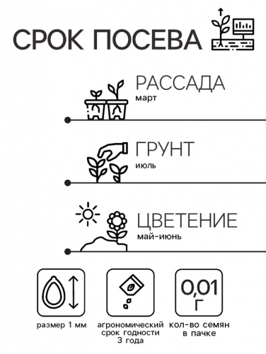 Семена цветов Камнеломка 