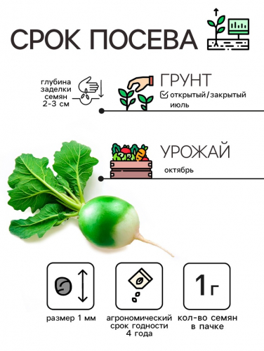 Семена Редька 