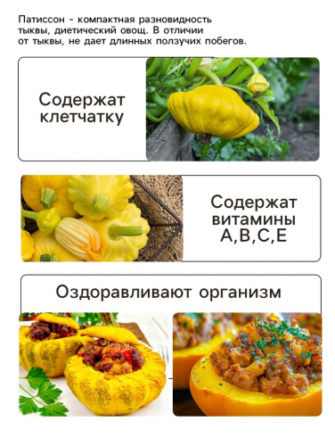 Семена Патиссон 