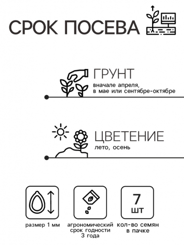 Семена цветов Дельфиниум высокий 