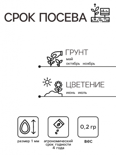 Семена Гипсофила 