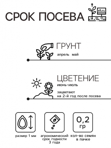 Семена цветов Колокольчик 