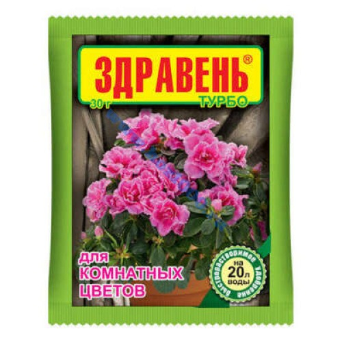 Здравень 