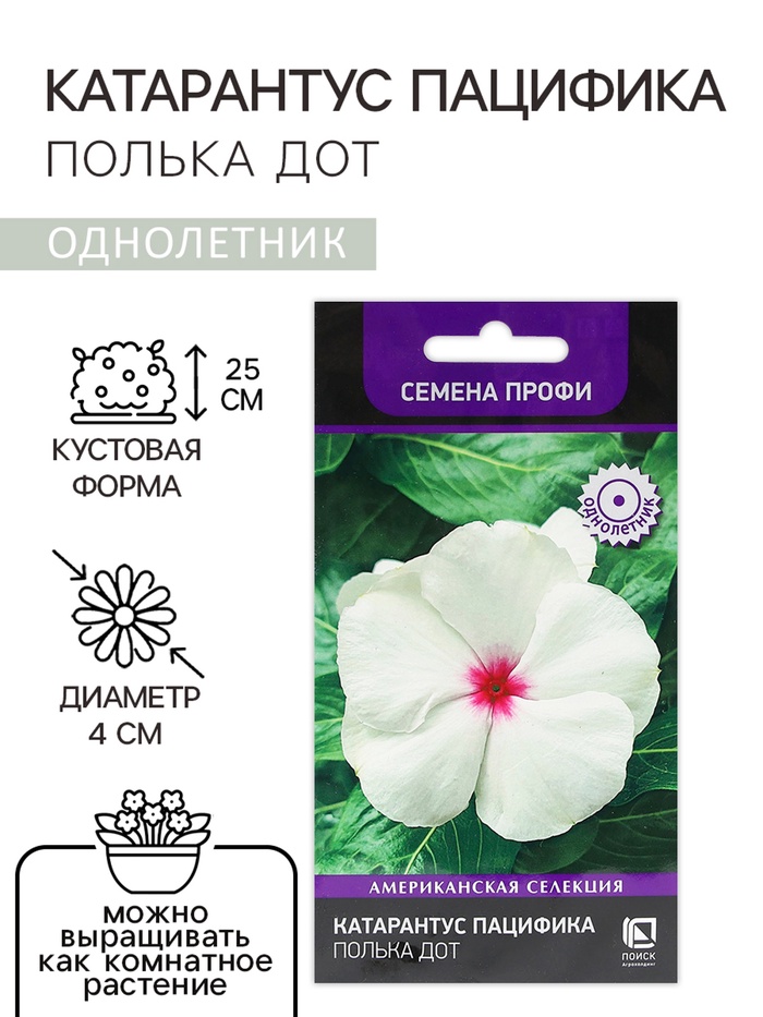 Семена цветов Катарантус Пацифика