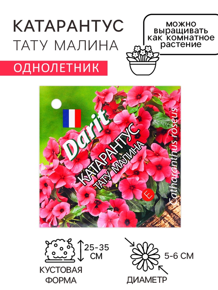 Семена цветов Катарантус