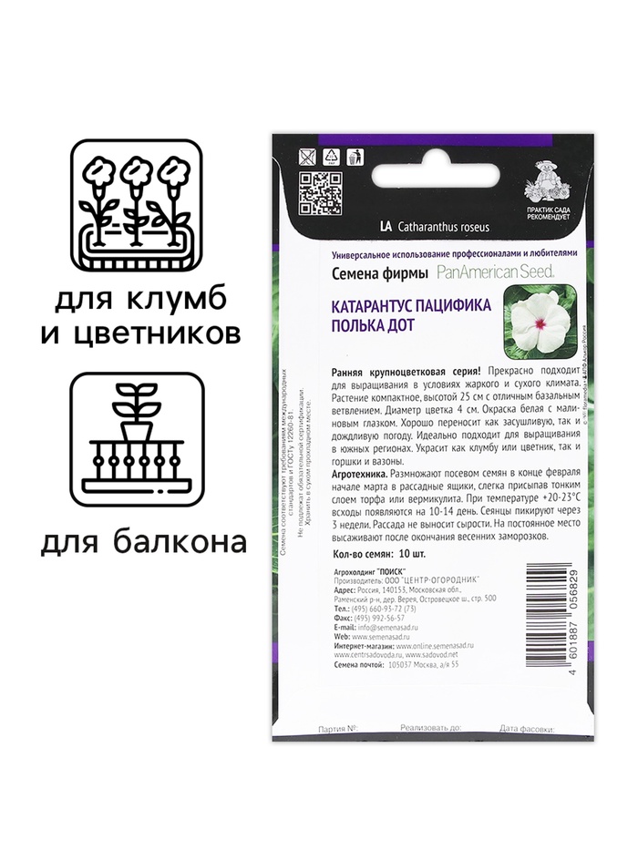 Семена цветов Катарантус Пацифика