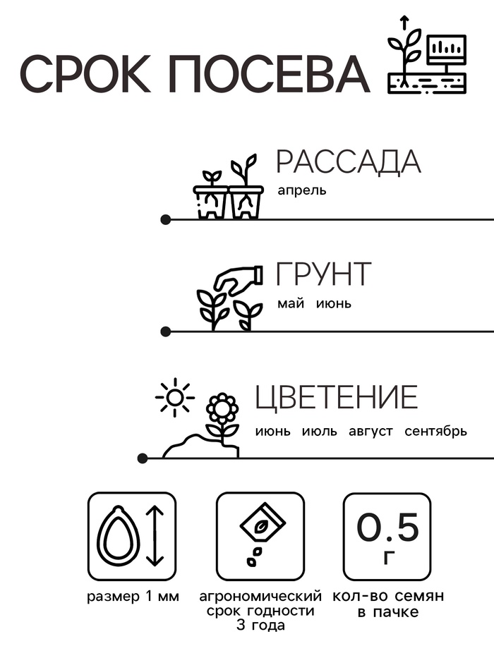 Семена цветов Цинния Шаровидная, смесь окрасок, О, 0,5 г