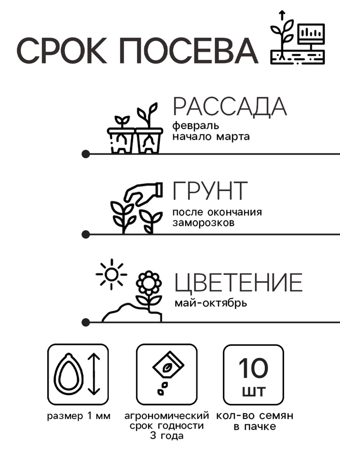 Семена цветов Катарантус Пацифика