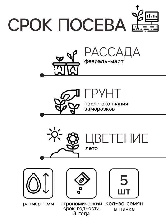 Семена цветов Катарантус