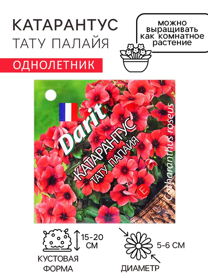 Семена цветов Катарантус