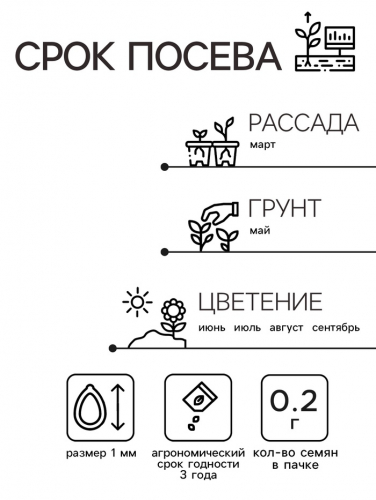 Семена  цветов Флокс 