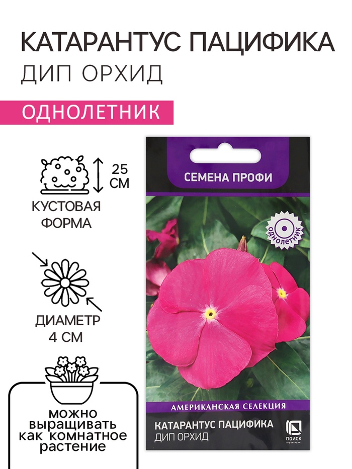 Семена цветов Катарантус Пацифика