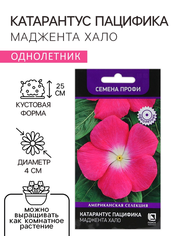 Семена цветов Катарантус Пацифика