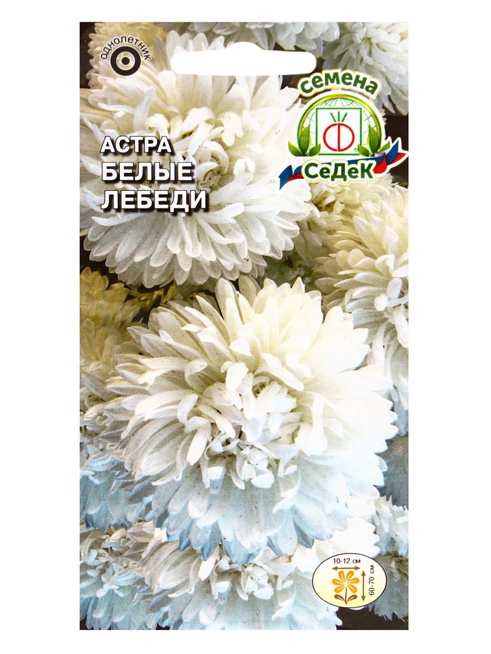 Семена Цветов Астра