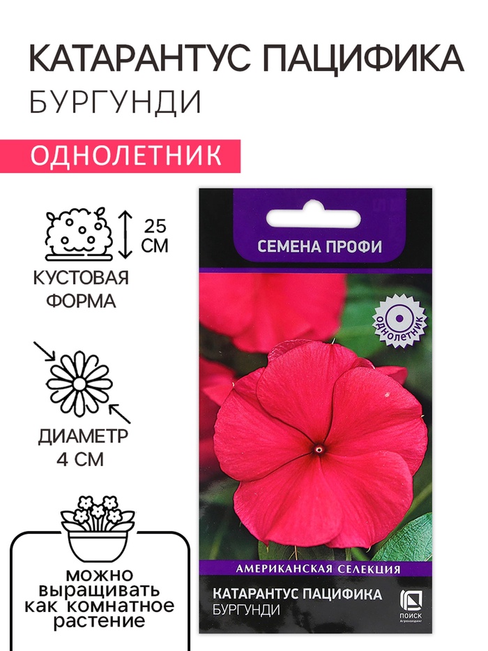 Семена цветов Катарантус Пацифика